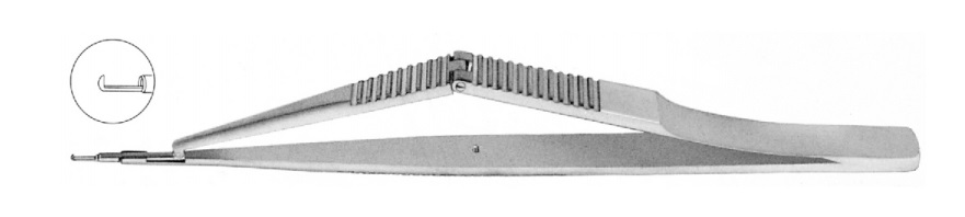 Kelly Membrane Panç
